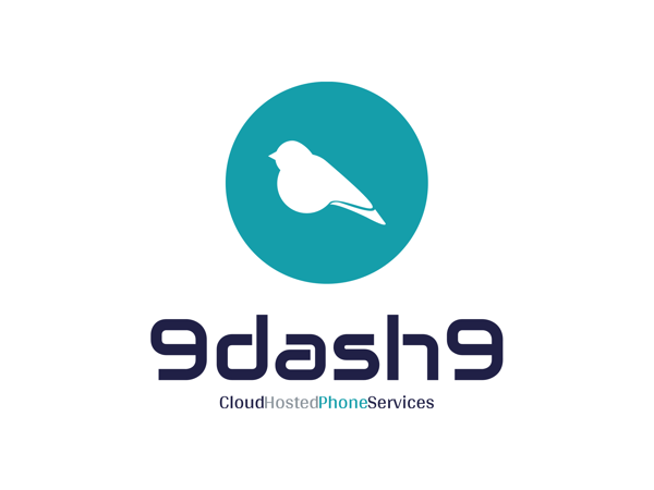 9dash9-high-resolution-color-logo